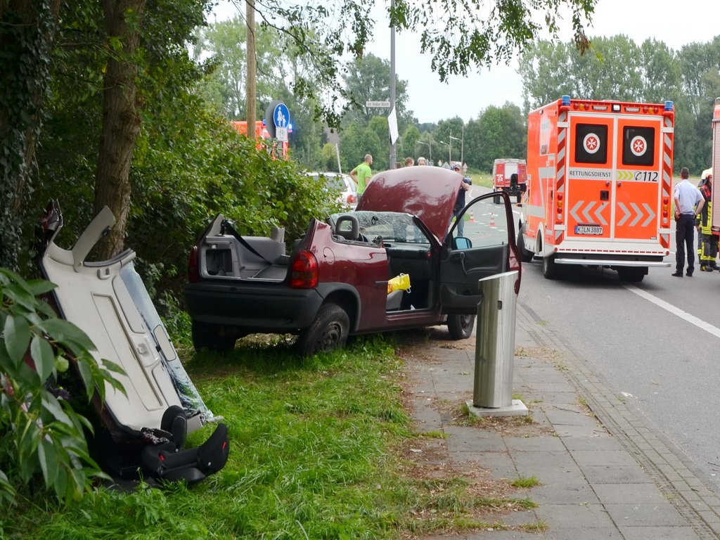 PKlemm Koeln Duennwald Am Weissen Moench Duennwalder Kommunalweg P52.JPG - Miklos Laubert